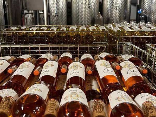 ジョージアワインイメージ